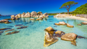 plage palombaggia porto vecchio
